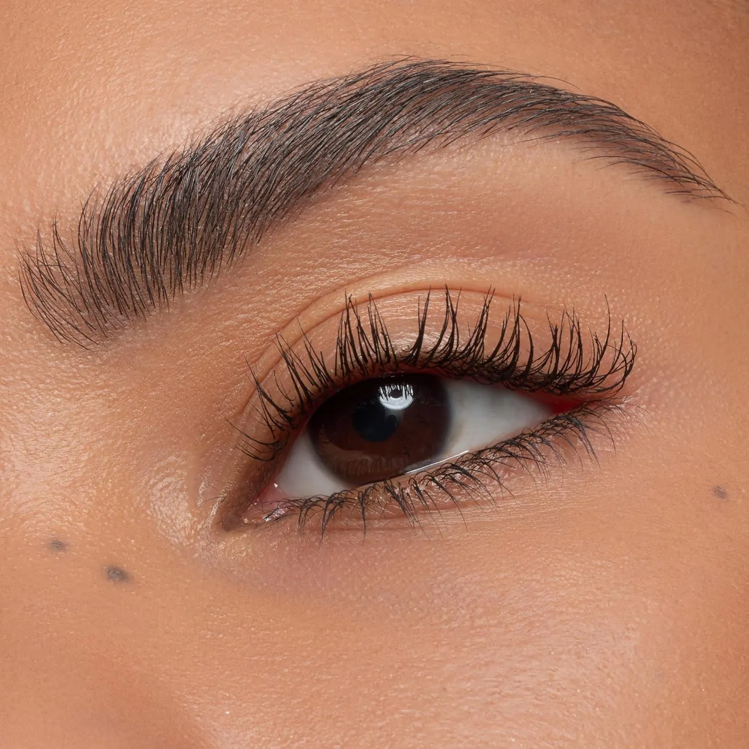 | Curl Fixing Lash Base | Mascara Primer for Longlasting Curl & Definition | Vegan, Cruelty Free & Paraben Free