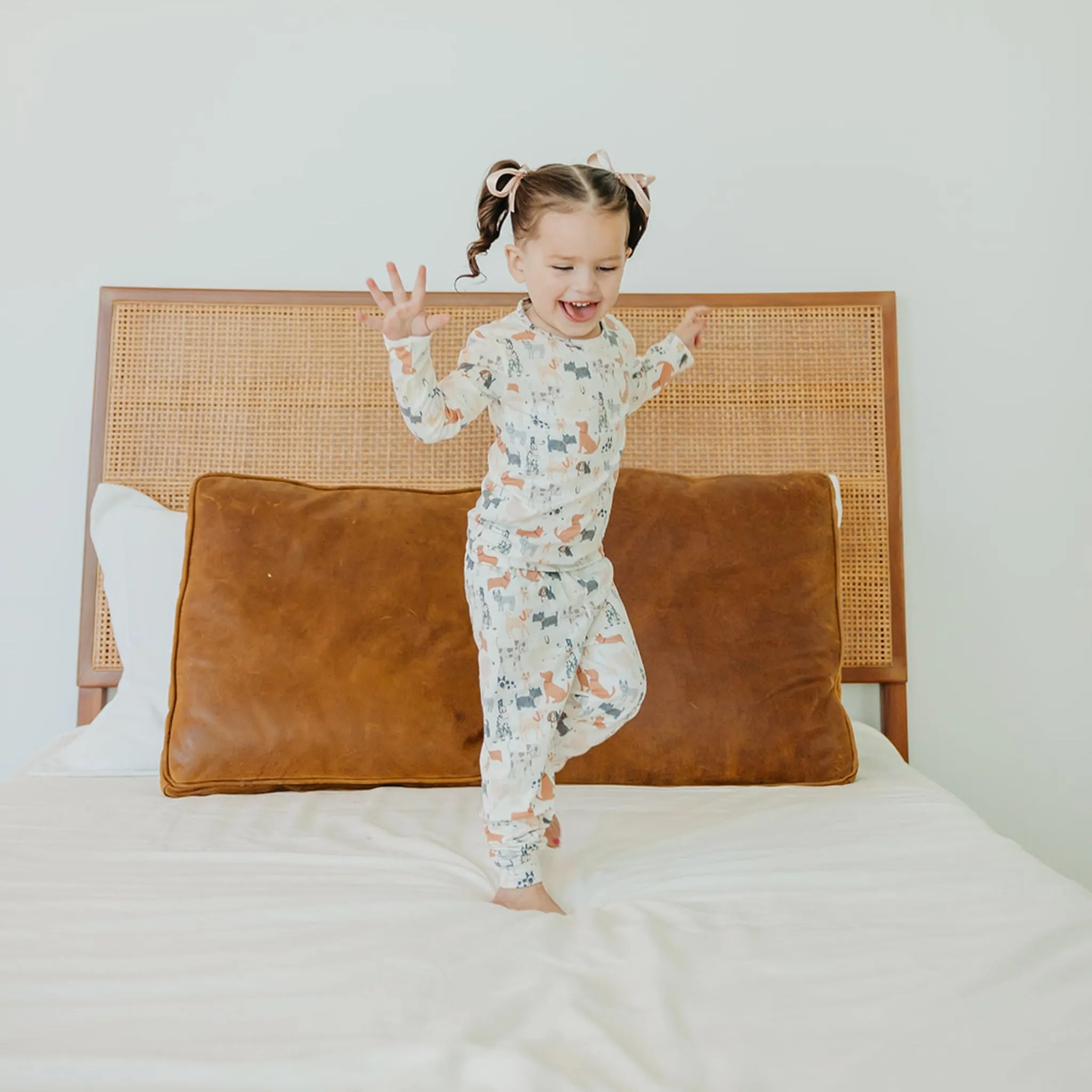 2pc Long Sleeve Pajama Set - Rufus