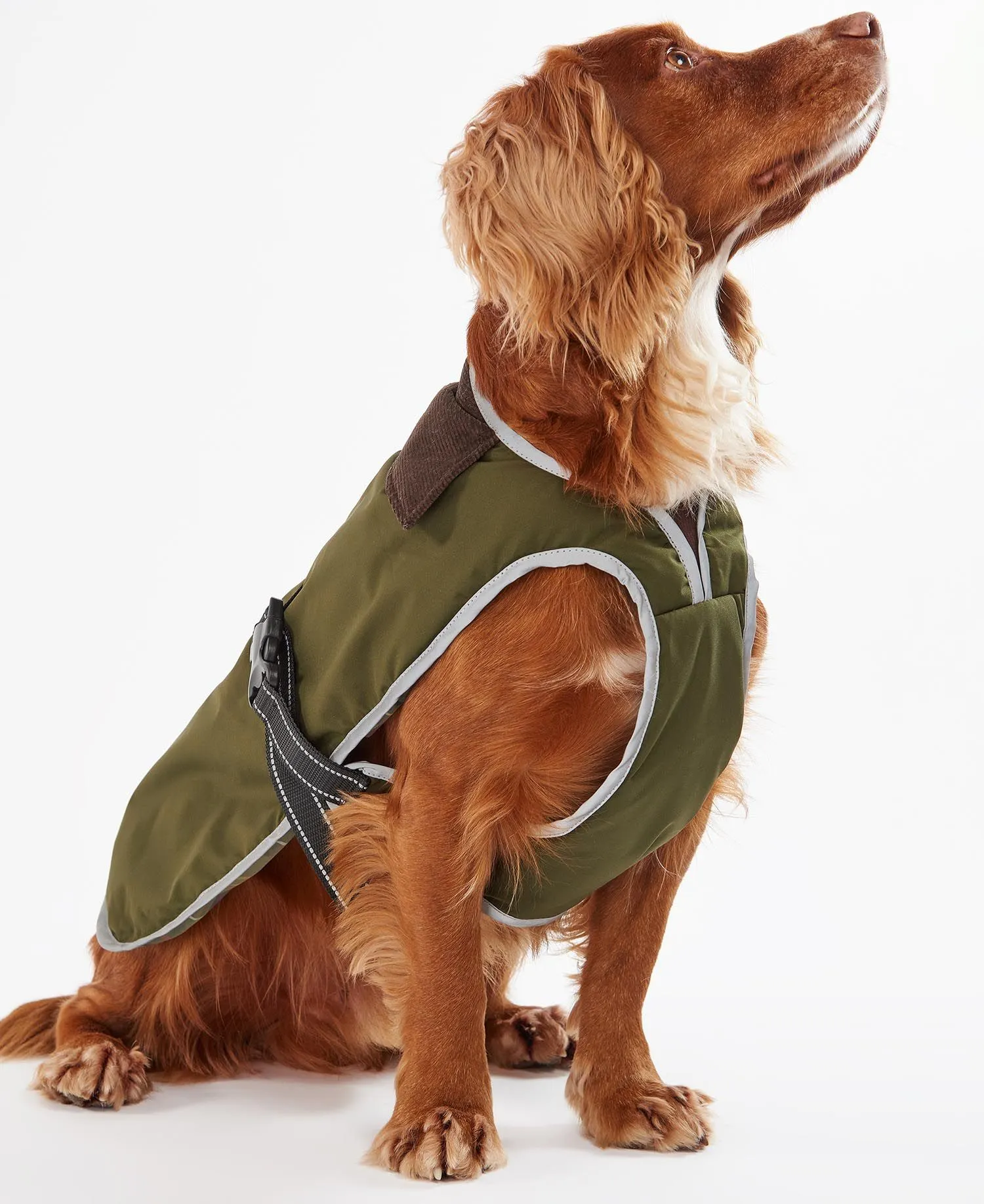 Barbour Monmouth Waterproof Dog Coat