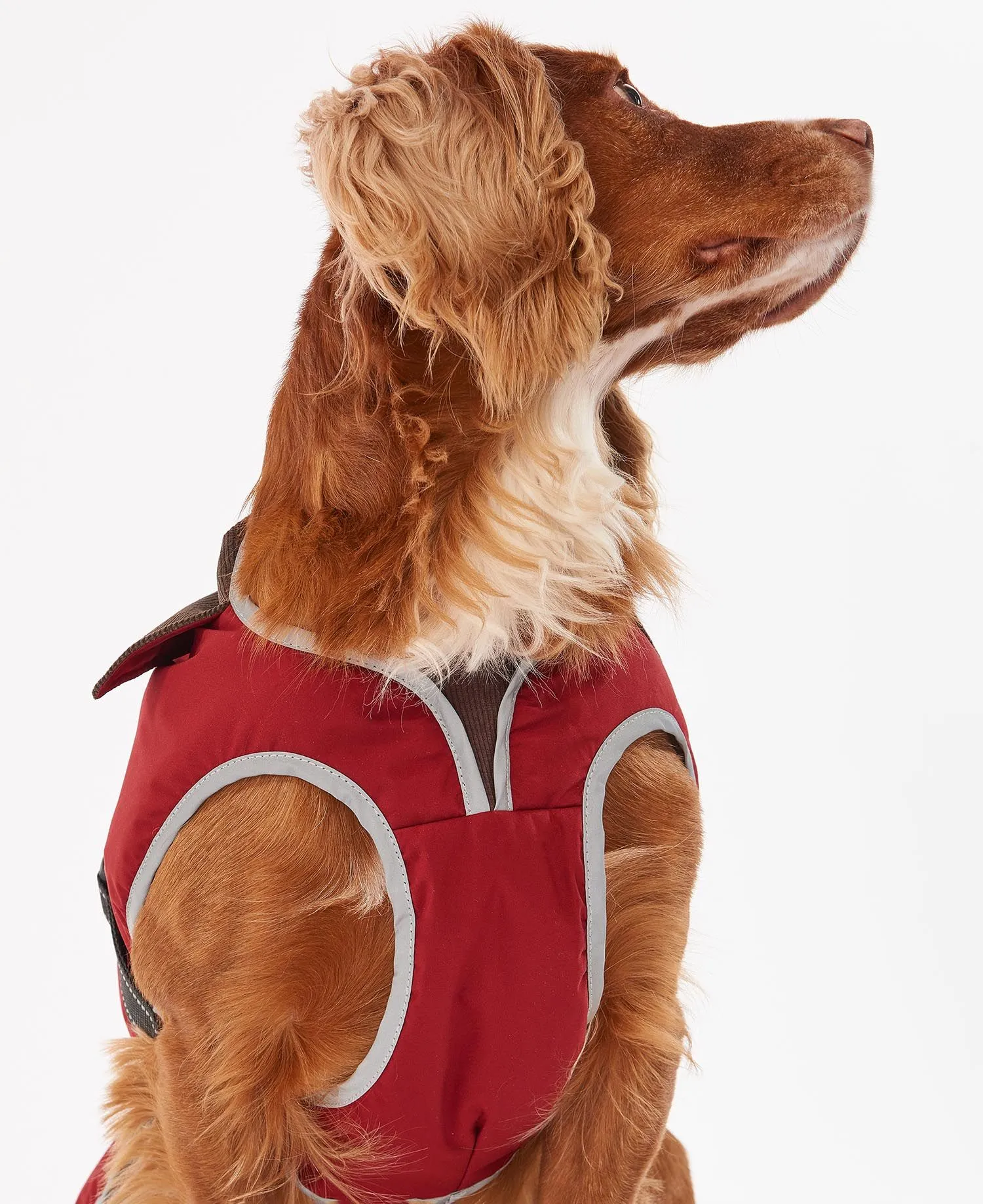 Barbour Monmouth Waterproof Dog Coat
