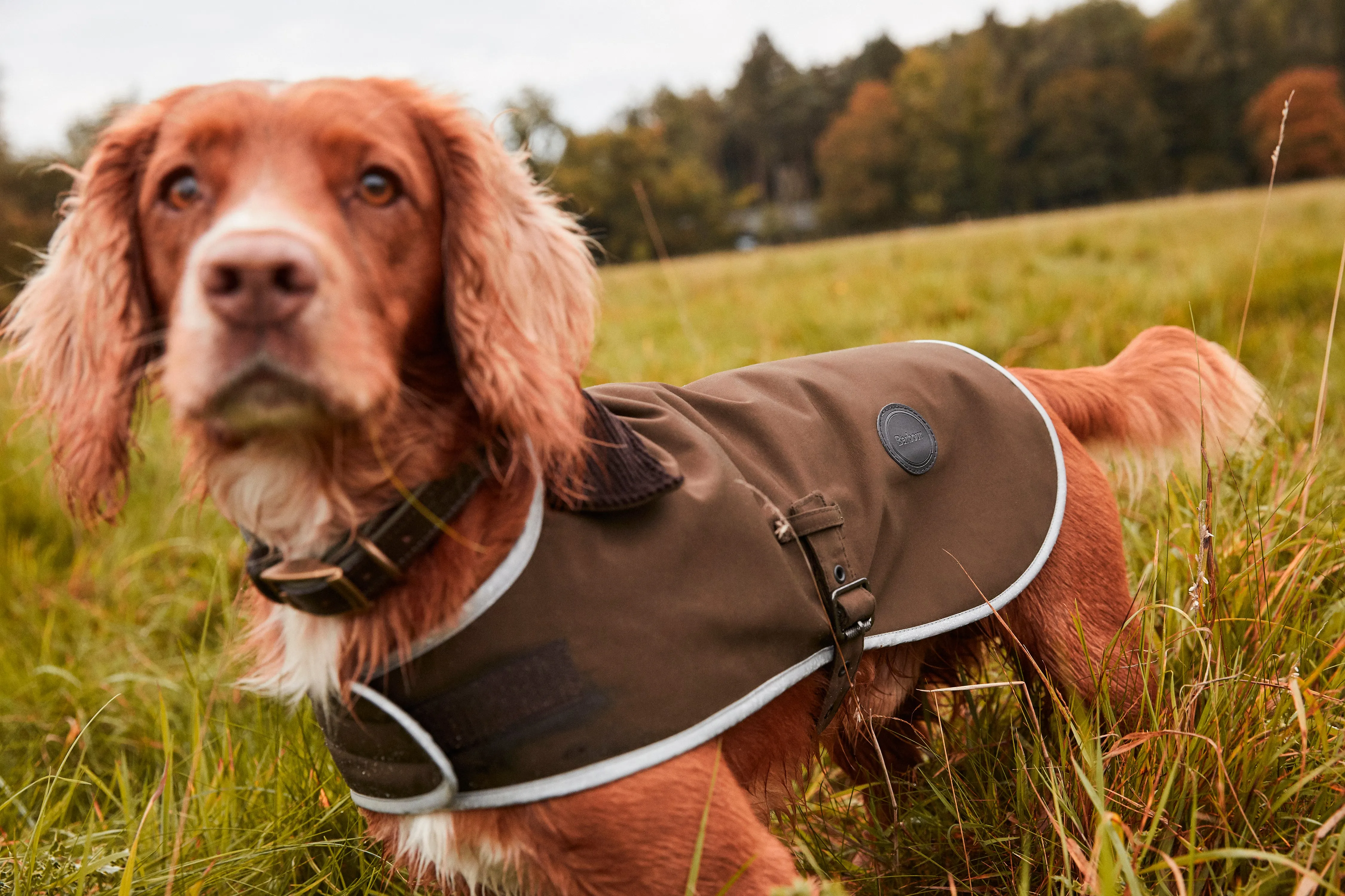 Barbour Waterproof Dog Coat