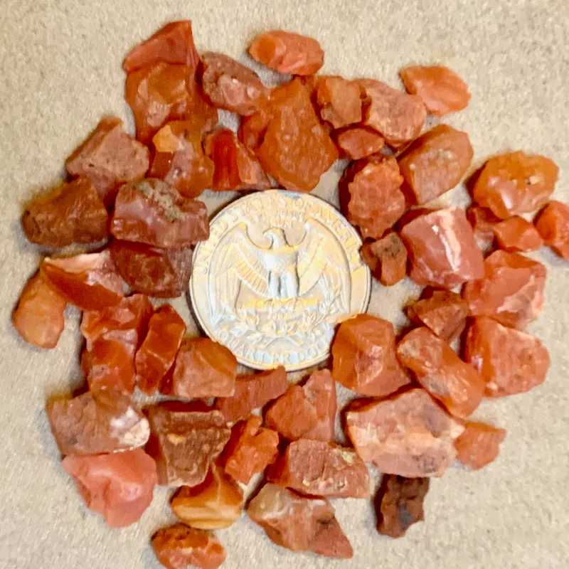 Carnelian Rough Pieces, Set of 5 (Sierra County, New Mexico)