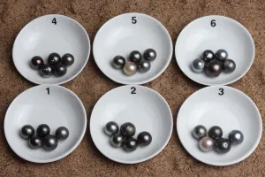 Loose Baroque Tahitian Pearl Sets, Pick you Pearls! (BTLP007)