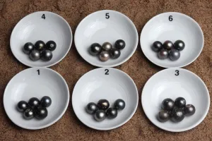 Loose Baroque Tahitian Pearl Sets, Pick you Pearls! (BTLP011)