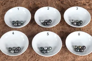 Loose Tahitian Pearl Sets, Pick your Pearls! (LP030)