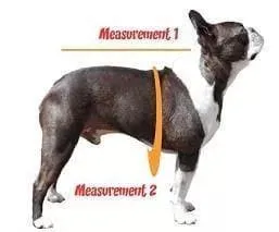 Waterproof Dog Coat With Harness Hole